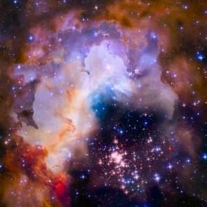 Meet your Posher, Chip